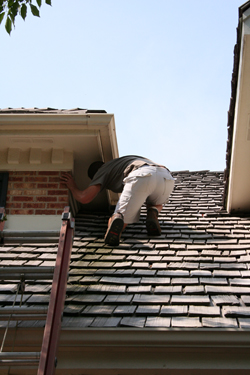Inspecting an eave for exclusion