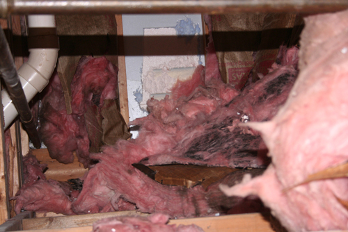 Damaged Insulation