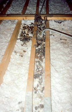 Damaged Insulation