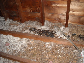 what a mess!