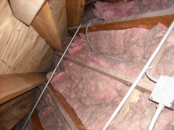 raccoon damage to attic