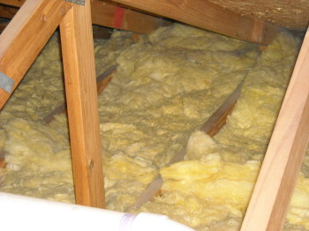attic damage from raccoons