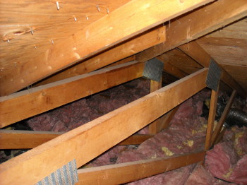 more major raccoon damage