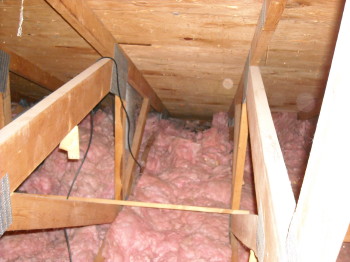 raccoon damage to attic