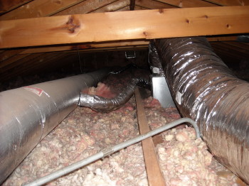 more dirt and filth from raccoons in an attic
