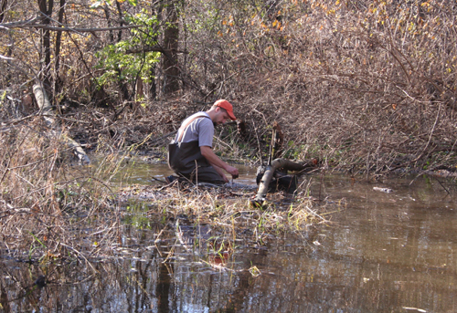 Brad setting beaver trap