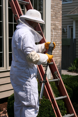 Brad getting ready to exterminate Bees