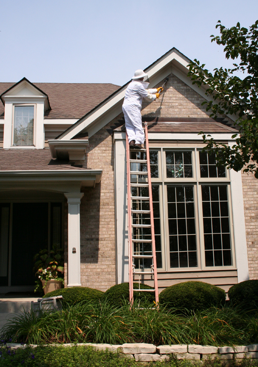 Suburban Wildlife Control exterminating  bees