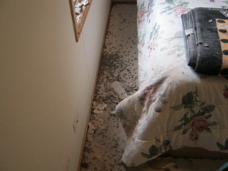 more bees on floor