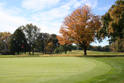 Golf Course Grounds 19