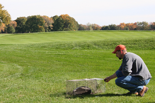 Brad removing skun from Course