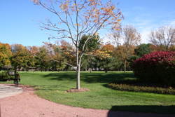 Golf Course Grounds 5