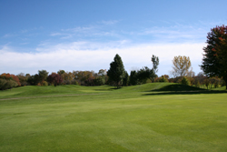 Golf Course Grounds 2