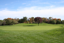 Golf Course Grounds 1