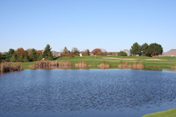 pond 3