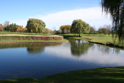 pond 4
