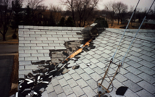 roof damged by raccoons captured by suburban wildlife control