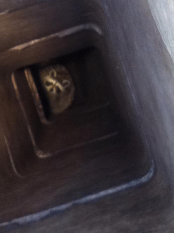 raccoon in a chimney