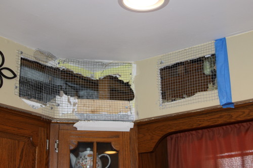 Raccoon Removed by Suburban Wildlife Control