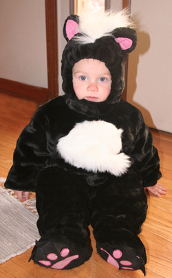 Skunk Baby